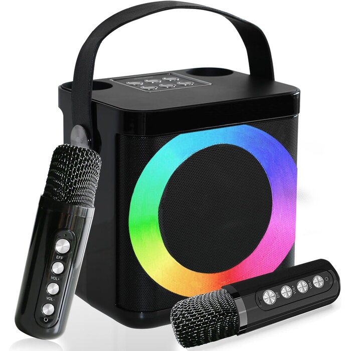 Tragbare Karaoke-Maschine mit 2 Mikrofonen & LED - bis zu 29% Rabatt