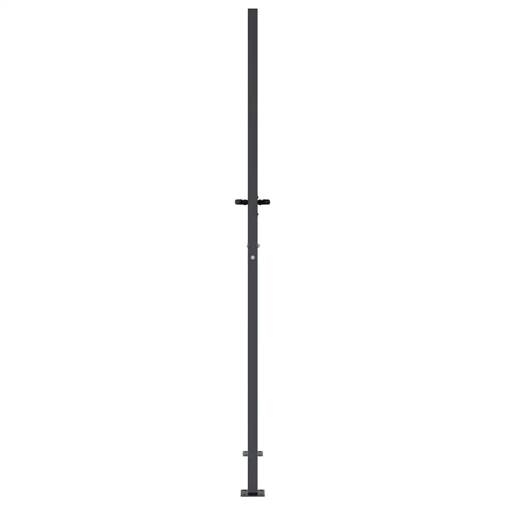 Exklusives Gartentor Anthrazit 105x205 cm - Jetzt bis zu 35% sparen