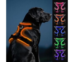 Leuchtendes No-Pull Hundegeschirr | USB-wiederaufladbar | Orange | bis zu 37% Rabatt