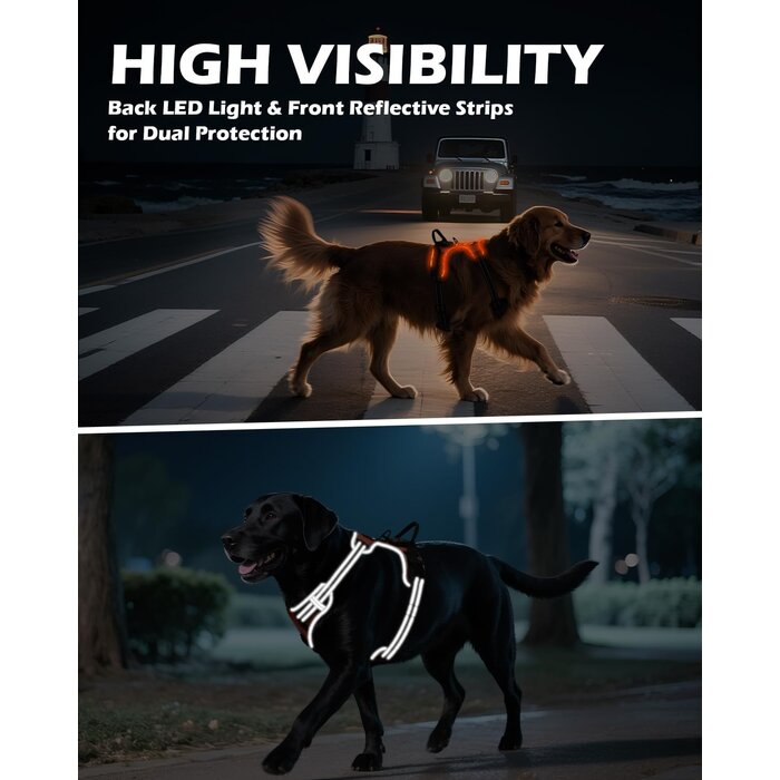 Leuchtendes No-Pull Hundegeschirr | Größe L | Orange | Bis zu 31% Rabatt