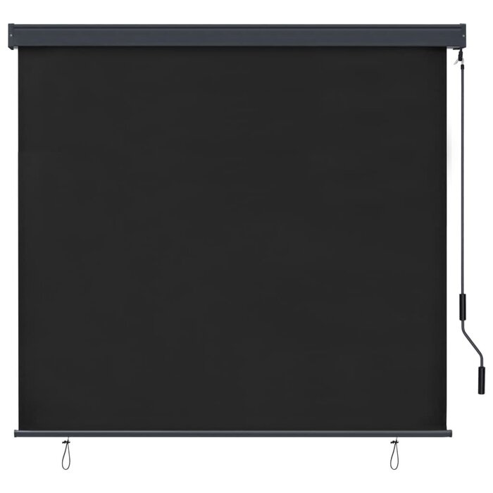 Vidaxl Außenrollo 160 x 250 cm Anthrazit - Vertikalmarkise bis zu 58% reduziert
