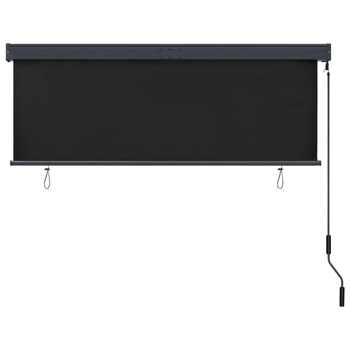 Vidaxl Außenrollo 160 x 250 cm Anthrazit - Vertikalmarkise bis zu 58% reduziert