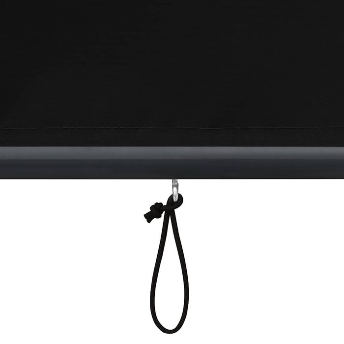 Vidaxl Außenrollo 80 x 250 cm Anthrazit - Vertikaler Sichtschutz, bis zu 69% Rabatt