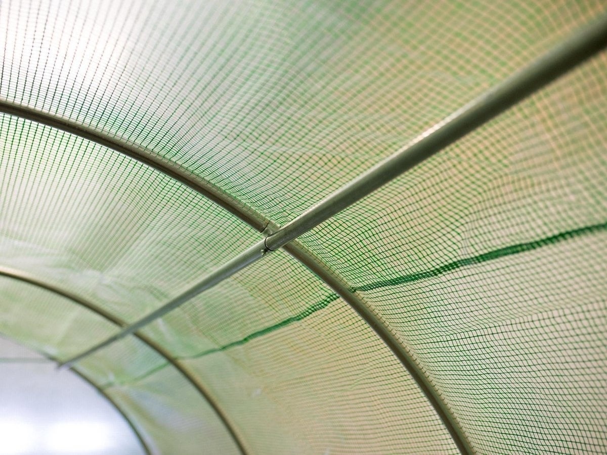 Viking Choice Gewächshaus Folientunnel 200x300 cm - UV-beständig - Jetzt bis zu 30% sparen
