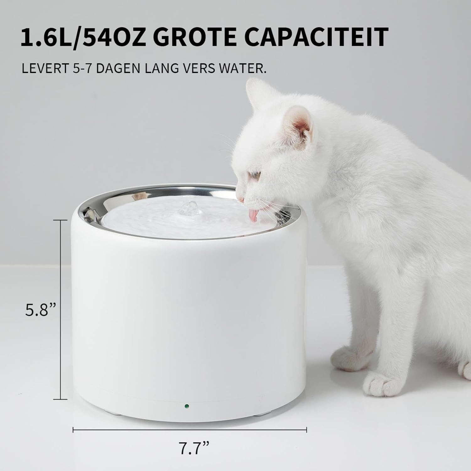 Intelligenter Edelstahl-Trinkbrunnen (1,8L) - Kabellos & Leise - bis zu 36% Rabatt