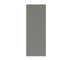 Vidaxl Plisseerollo 80x200 cm Anthrazit - Sichtschutz - Jetzt bis zu 46% Rabatt