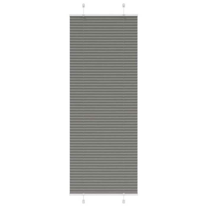 Vidaxl Plisseerollo 80x200 cm Anthrazit - Sichtschutz - Jetzt bis zu 31% sparen