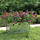 Hochbeet Pflanzkasten 100x40x45 cm - Verzinkter Stahl - bis zu 43% Rabatt