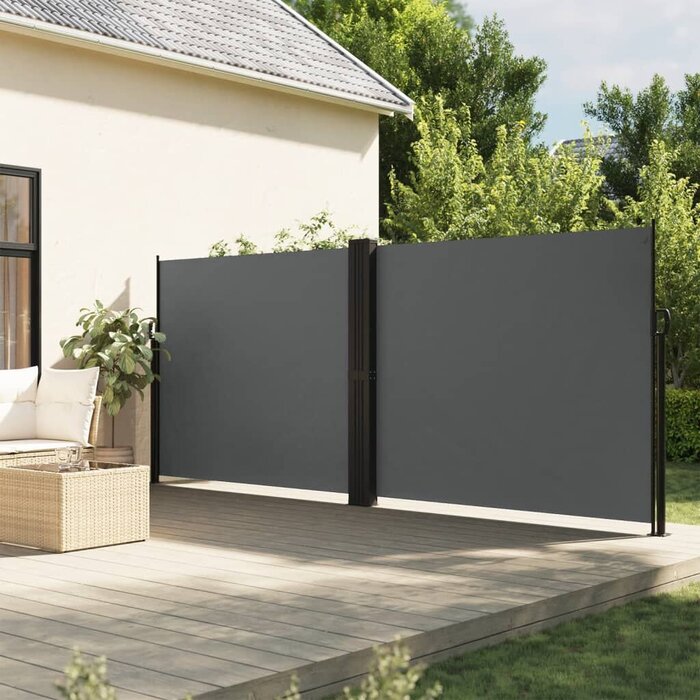 Vidaxl Ausziehbare Seitenmarkise 160x600 cm - Anthrazit - Bis zu 41% Rabatt