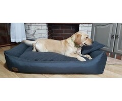 Viking Choice Großes Hundebett Anthrazit 120x90 cm - Jetzt bis zu 34% günstiger
