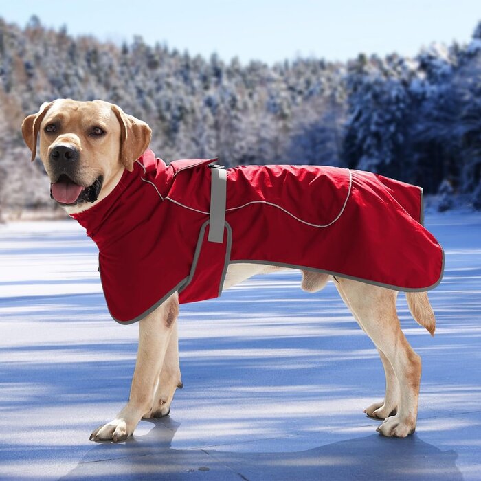 Warmer Hundepullover aus Fleece - Dunkelblau - Jetzt bis zu 27% sparen