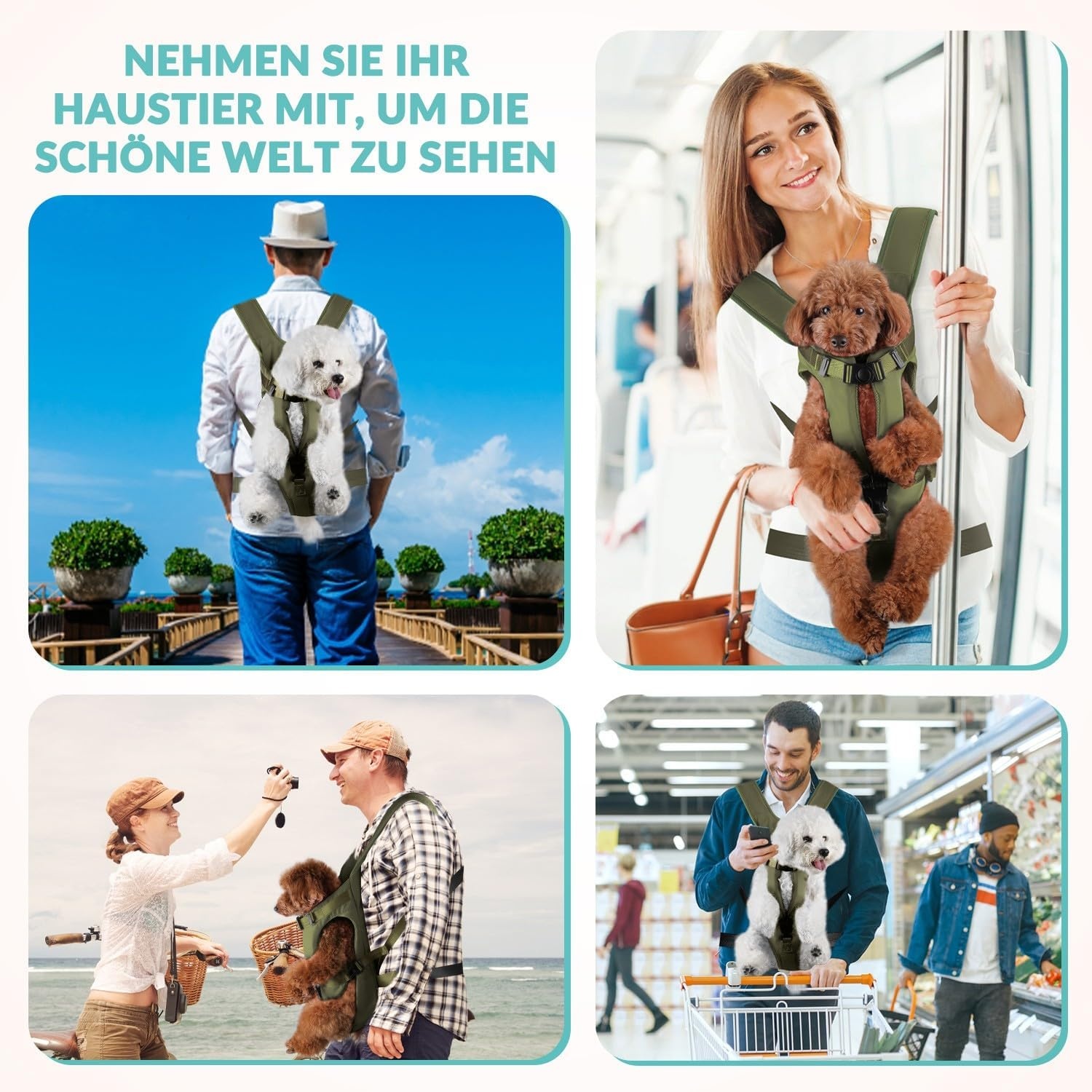 Hunderucksack Brusttrage für kleine bis mittelgroße Hunde - bis zu 32% sparen