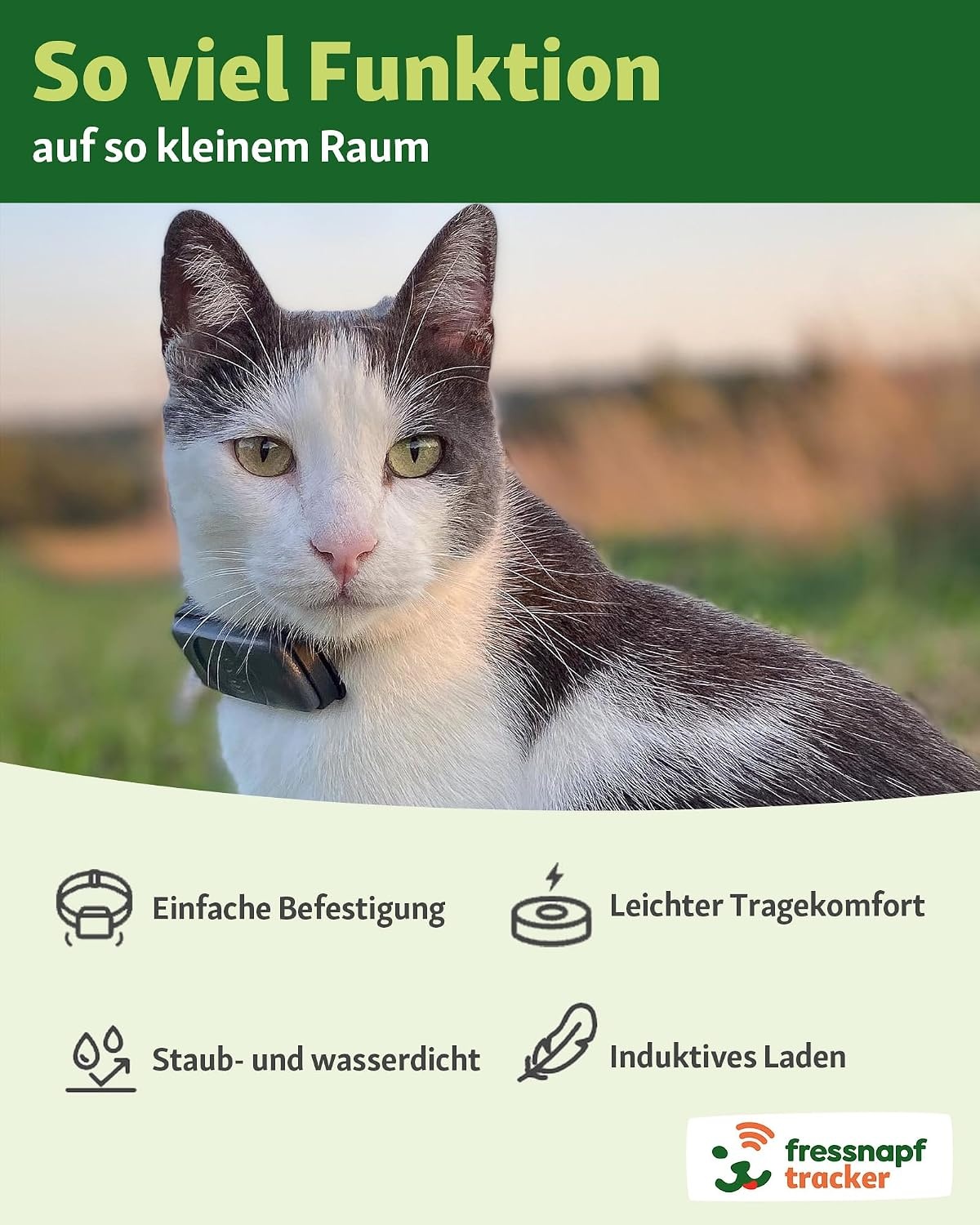 GPS-Tracker für Katzen - 2. Generation - bis zu 29% Rabatt im Outlet