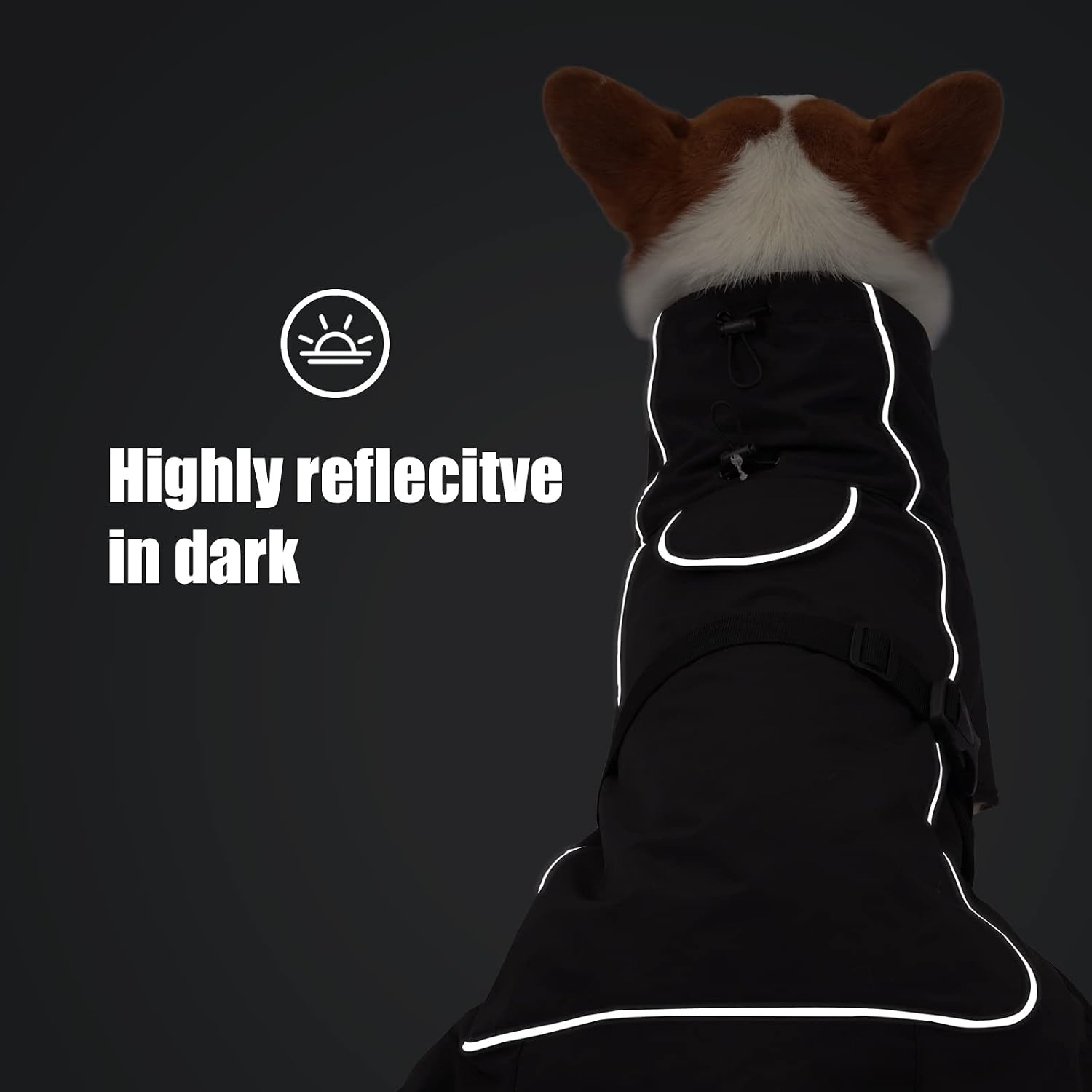 Wasserdichte Hunde-Winterjacke Schwarz - 55% Rabatt