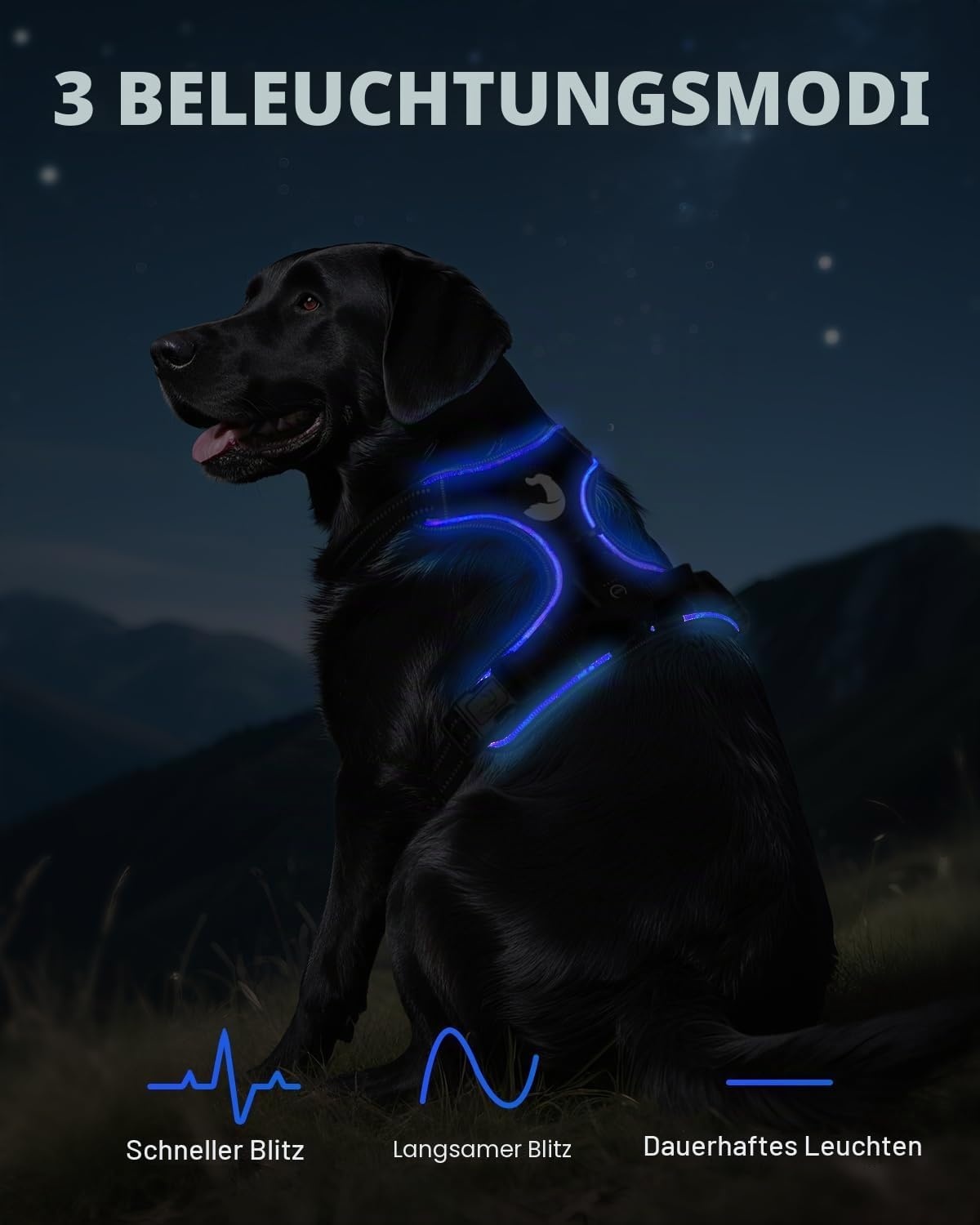 Leuchtendes Anti-Zug Hundegeschirr M Schwarz-Blau - bis zu 25,4% Rabatt