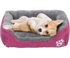 Selbstwärmendes Haustierbett für Hunde & Katzen 60x40cm - bis zu 65% Rabatt
