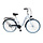 Mädchenfahrrad 26 Zoll Singlespeed - Robuster Cityflitzer bis zu 26% günstiger