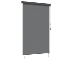 Vidaxl Außenrollo 60 x 250 cm, Lichtgrau - Jetzt bis zu 40% günstiger