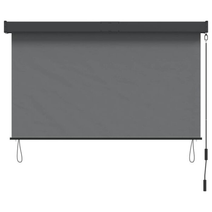 Vidaxl Außenrollo 60 x 250 cm, Lichtgrau - UV-Schutz - bis zu 34% Rabatt