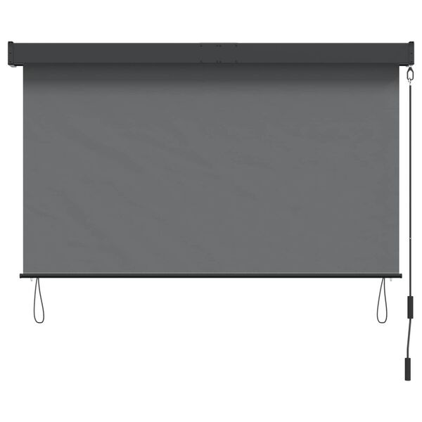 Vidaxl Außenrollo 60 x 250 cm, Lichtgrau - UV-Schutz - bis zu 34% Rabatt