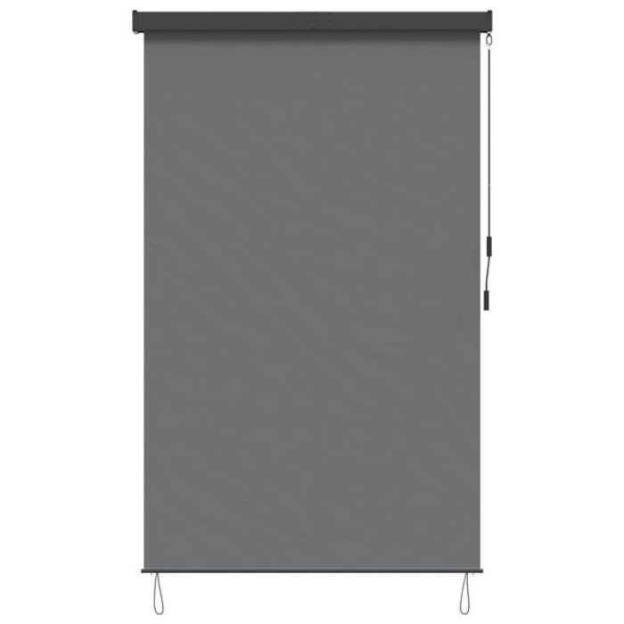 Vidaxl Außenrollo 60 x 250 cm, Lichtgrau - UV-Schutz - bis zu 34% Rabatt