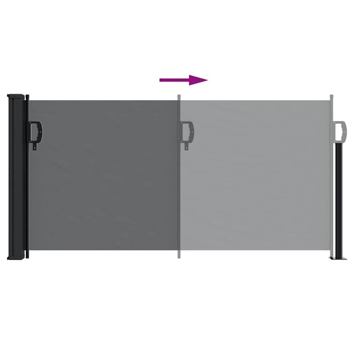 Vidaxl Ausziehbare Seitenmarkise 100x500 cm Schwarz - Bis zu 34% sparen!