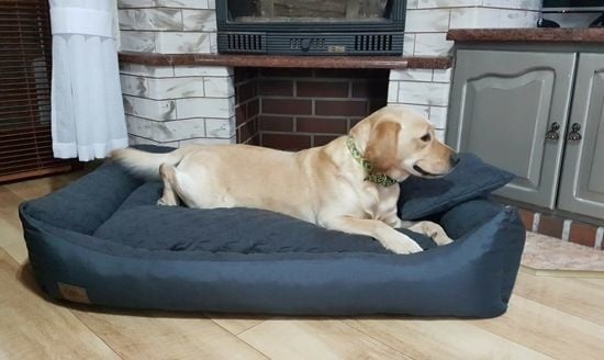 Viking Choice XXL Hundebett 120x90 cm Anthrazit - Wasserabweisend & bis zu 34% Rabatt