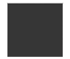 Vidaxl Verdunkelungsrollo 145x150 cm Schwarz - jetzt bis zu 33% günstiger sichern
