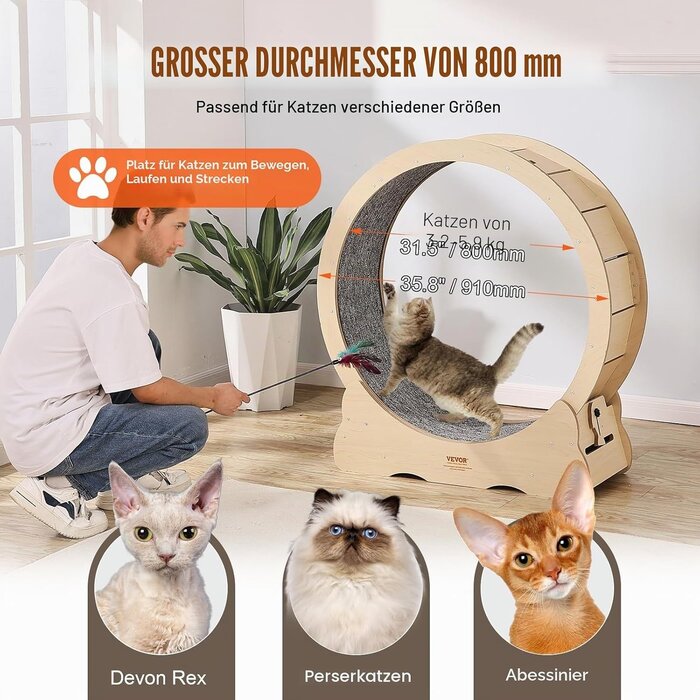 Vevor Katzenlaufrad 91 cm Holz - Leise & Stabil - Jetzt bis zu 34% günstiger