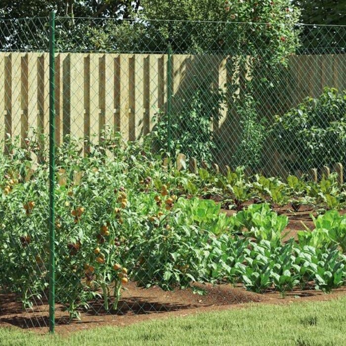 Maschendrahtzaun Stahl Grün 2 x 10 m - Jetzt bis zu 33% günstiger!