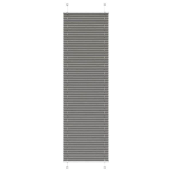 Plissee-Rollo 60x200 cm Anthrazit - Sichtschutz - bis zu 31% sparen