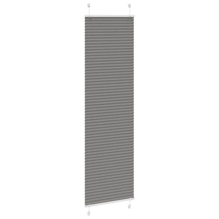 Plissee-Rollo 60x200 cm Anthrazit - Sichtschutz - bis zu 31% sparen