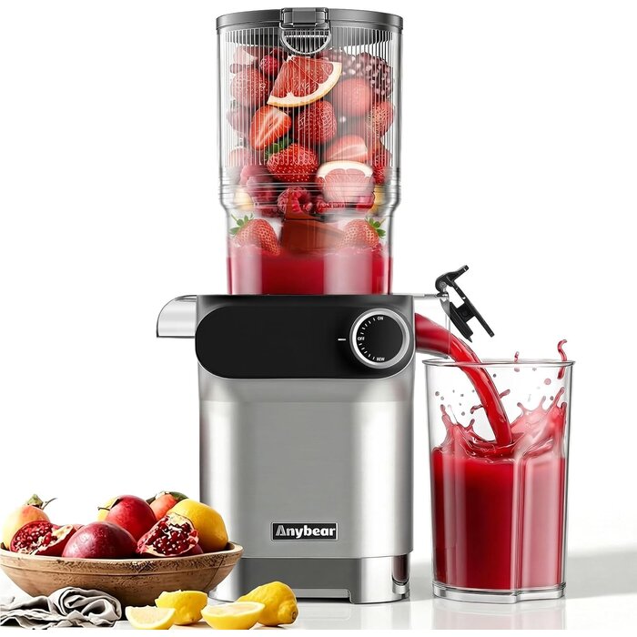 Slow Juicer Entsafter - 110 mm Einfüllschacht - Bis zu 34% sparen