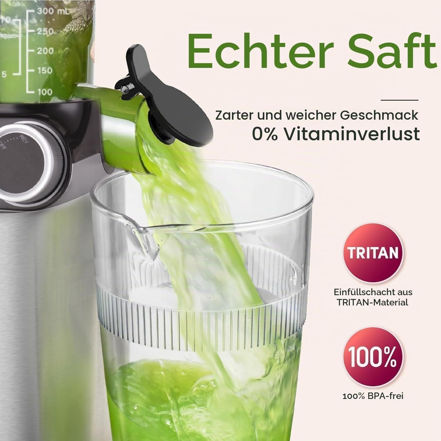 Slow Juicer Entsafter - 110 mm Einfüllschacht - Bis zu 34% sparen