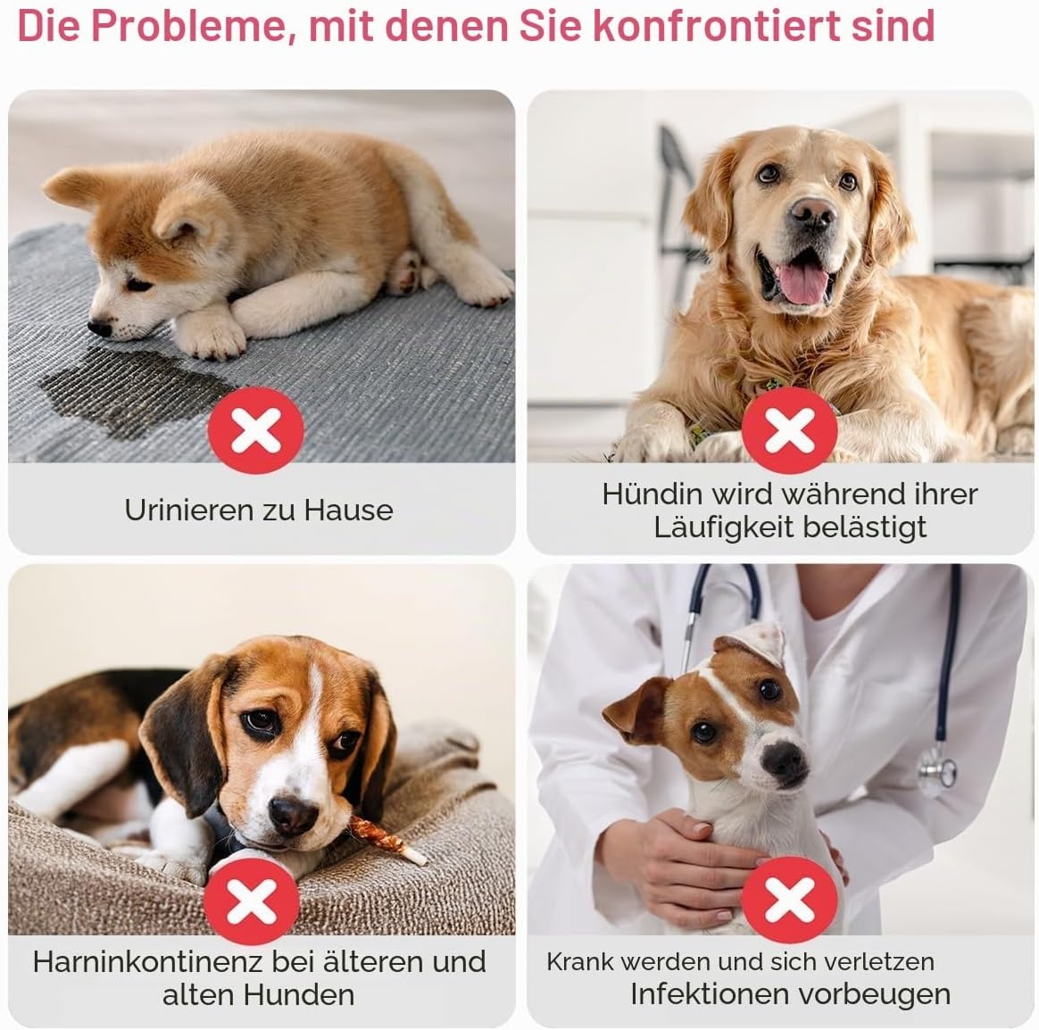 Hundewindeln für Hündinnen, Gr. M, 20 Stk. - bis zu 26% günstiger