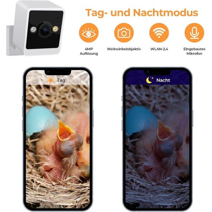 Smartes Vogelhaus mit 4MP Kamera - Naturholz - bis zu 34% Rabatt