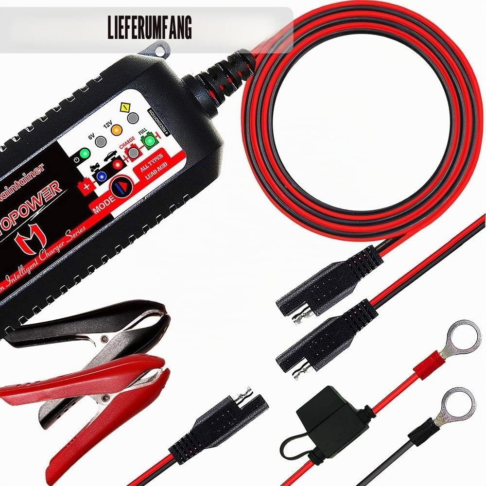 Intelligentes Ladegerät 6V & 12V für Bleiakkus - bis zu 32% sparen