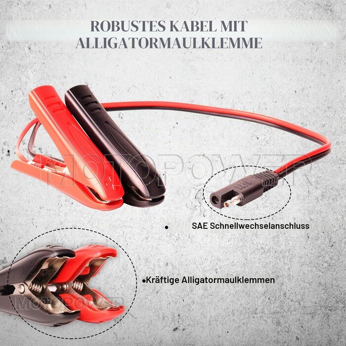 Intelligentes Ladegerät 6V & 12V für Bleiakkus - bis zu 32% sparen