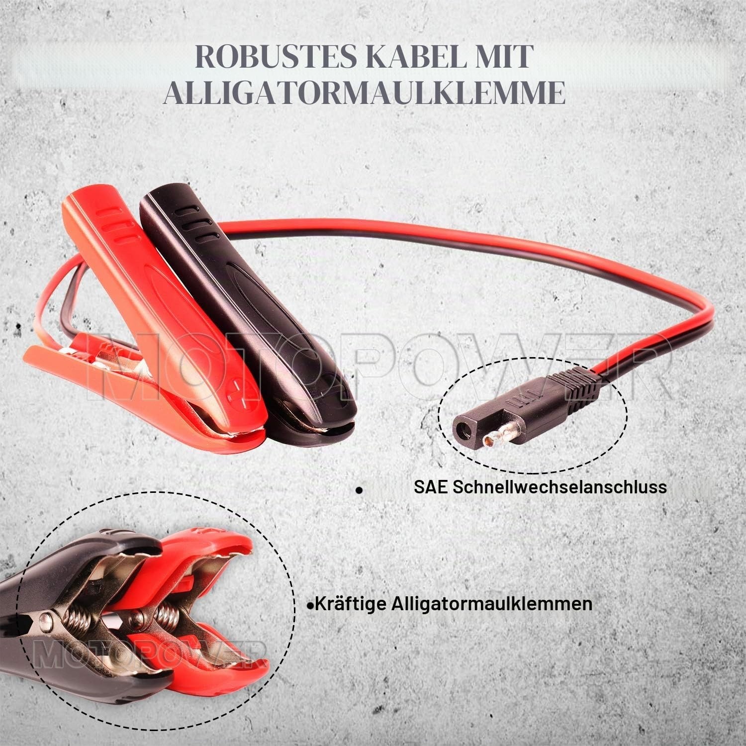 Intelligentes Ladegerät 6V & 12V für Bleiakkus - bis zu 32% sparen