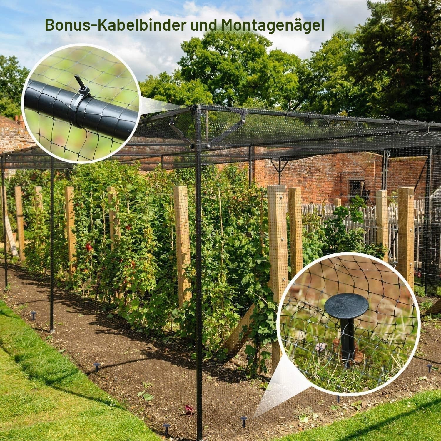 Vogelschutznetz 2m x 30m - UV-beständig inkl. Zubehör - bis zu 31% reduziert