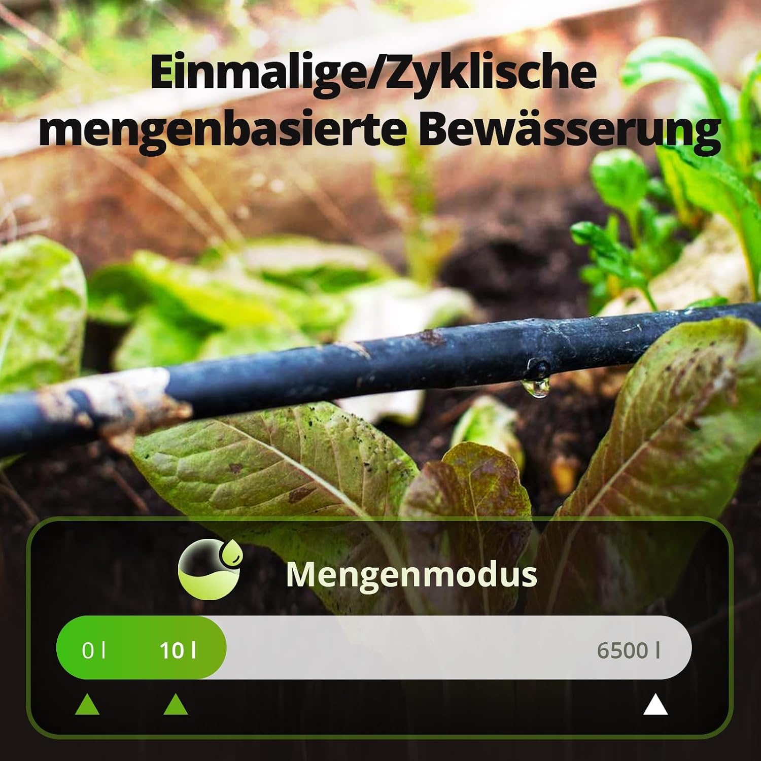 Intelligenter Bewässerungscomputer Zigbee 3.0 - jetzt bis zu 32% günstiger