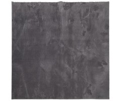 Vidaxl Teppich HUARTE, 120x120 cm, Anthrazit - Kurzflorig & Waschbar - 59% Rabatt