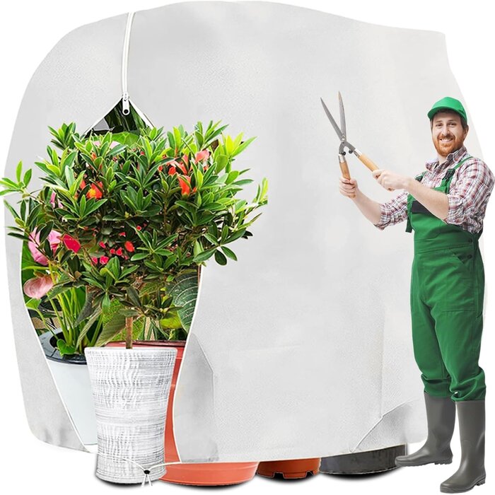 Pflanzenschutzhaube 160x240 cm - Bis zu 28% Rabatt auf Winterschutz!