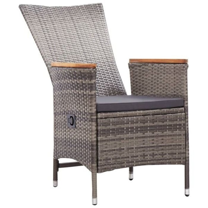 Vidaxl Verstellbare Poly-Rattan Gartenstühle 2er Set - Grau | bis zu 35% Rabatt
