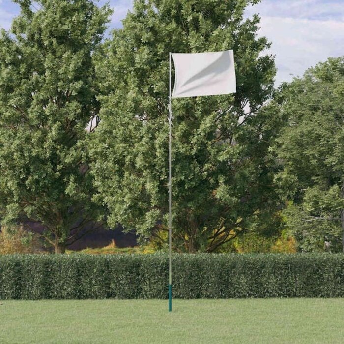 Vidaxl Teleskop-Flaggenmast aus Aluminium 5,55 m - Silber bis zu 29% reduziert