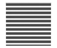 Vidaxl Doppelrollo Zebra 165x150 cm Schwarz - 55% Rabatt