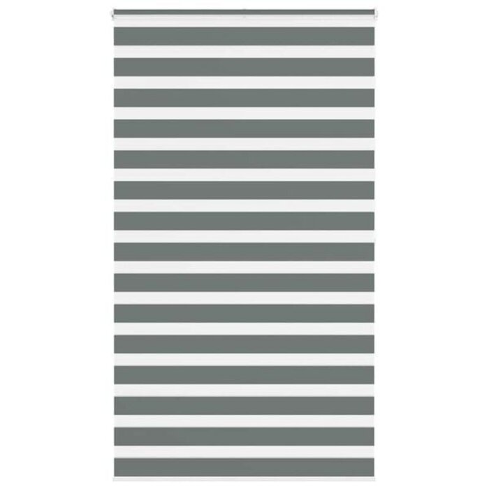 Vidaxl Doppelrollo Zebra-Rollo 120x200 cm Dunkelgrau - 33% Rabatt