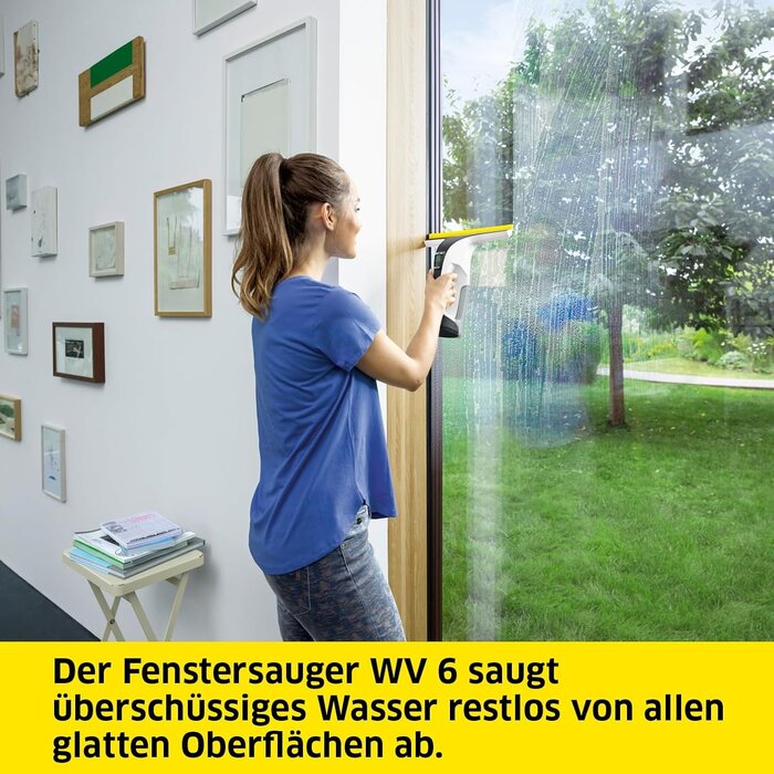 Fenstersauger WV 6 Plus - 34% Rabatt - 100 Min. Akku - 280 mm Saugdüse