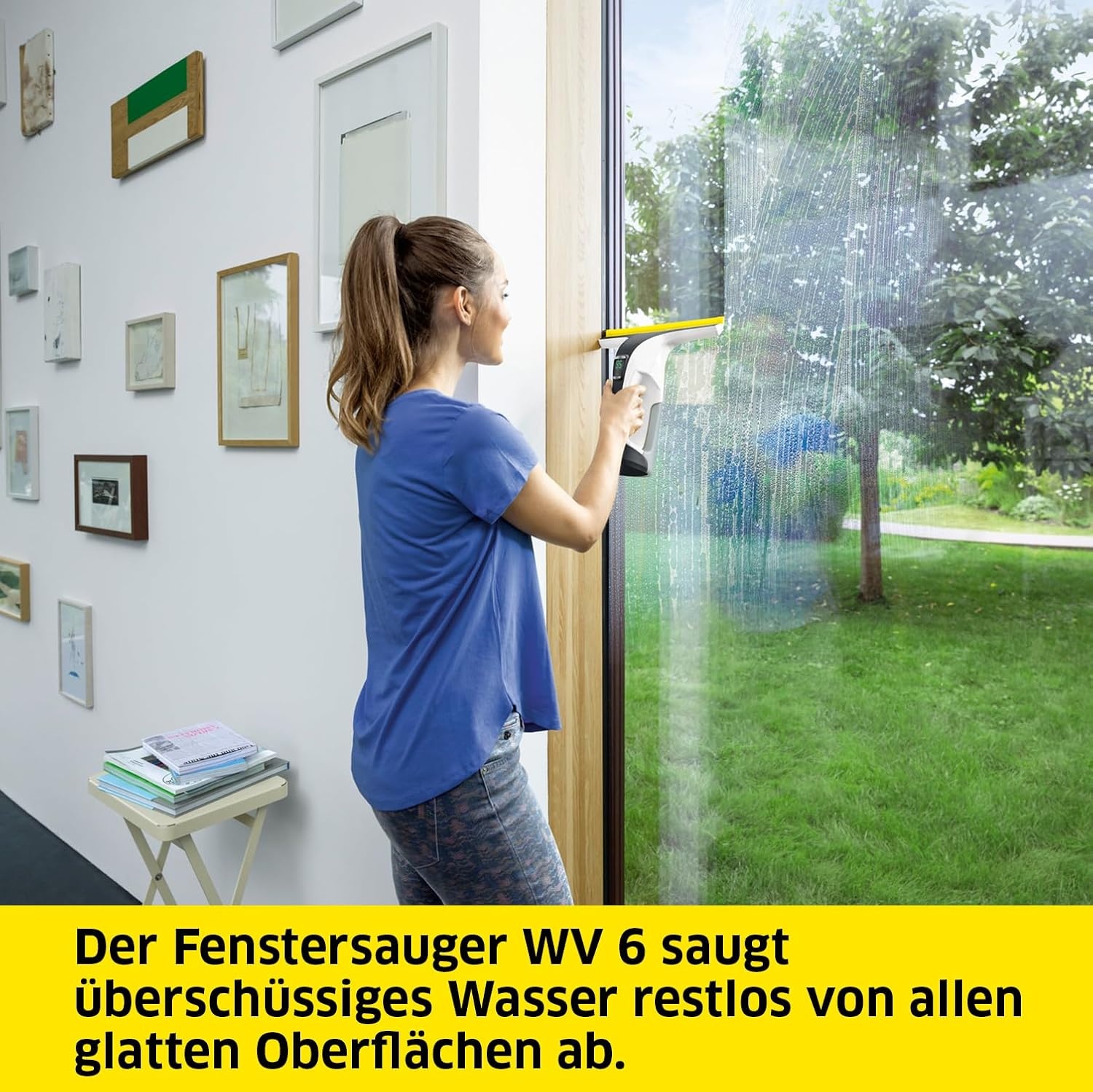 Fenstersauger WV 6 Plus - 34% Rabatt - 100 Min. Akku - 280 mm Saugdüse