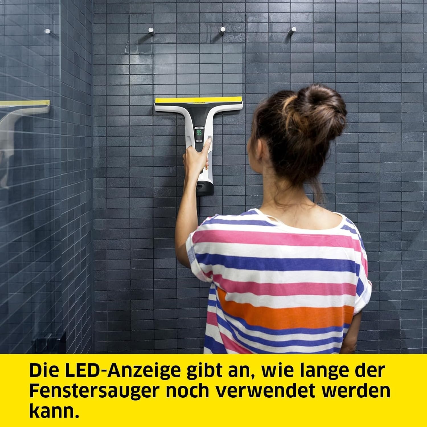 Fenstersauger WV 6 Plus - 34% Rabatt - 100 Min. Akku - 280 mm Saugdüse